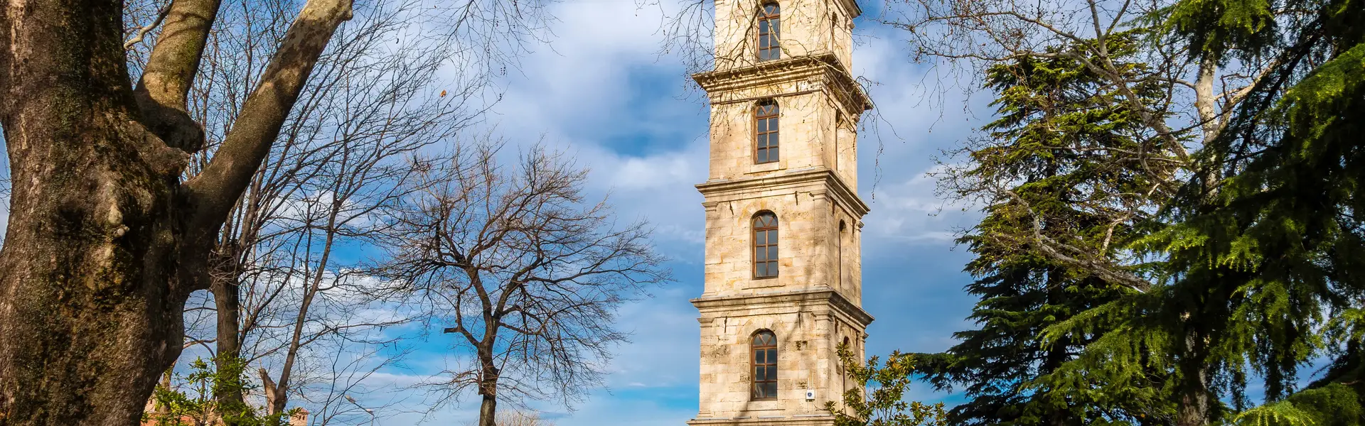 Bursa