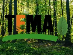 Tema Logo
