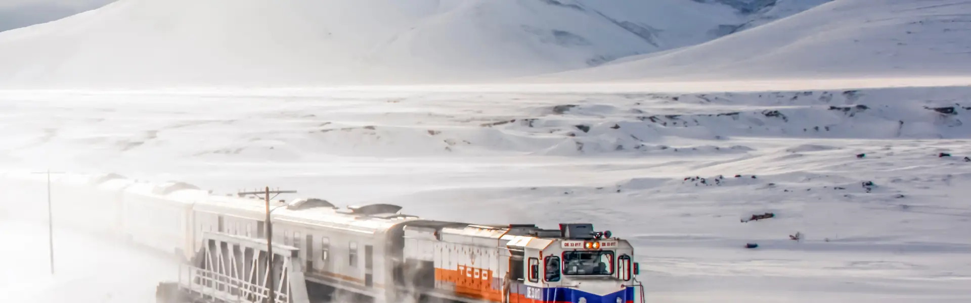 Special Interest Tours