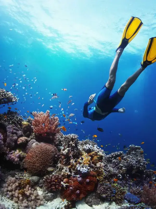 Scuba Diving